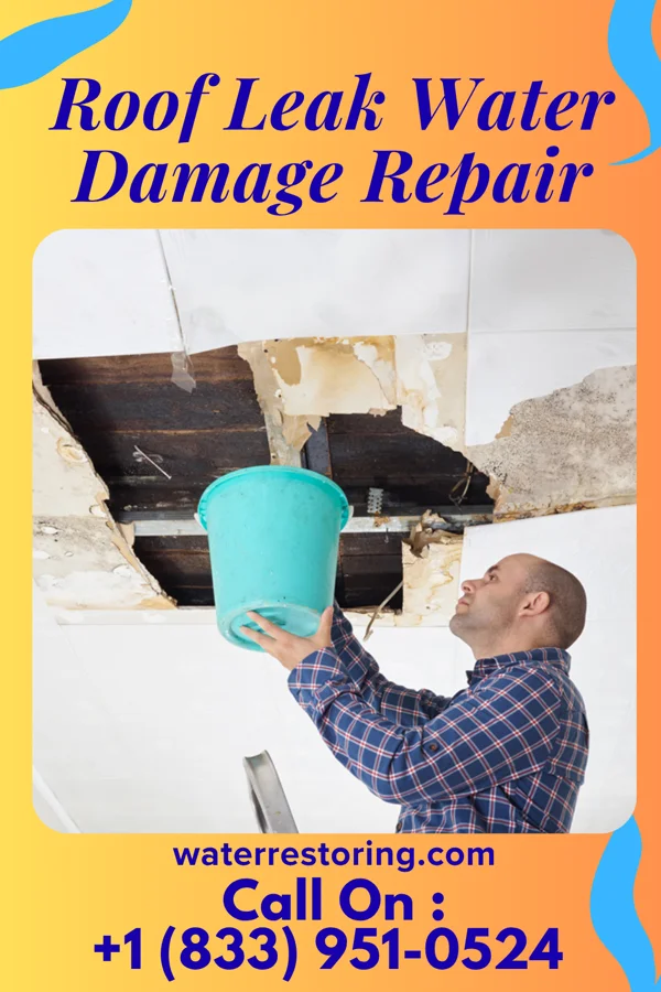 Roof Leak Water Damage Repair in Somerset, TX