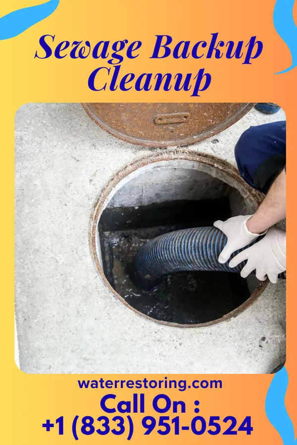 Sewage Backup Cleanup in Somerset, TX